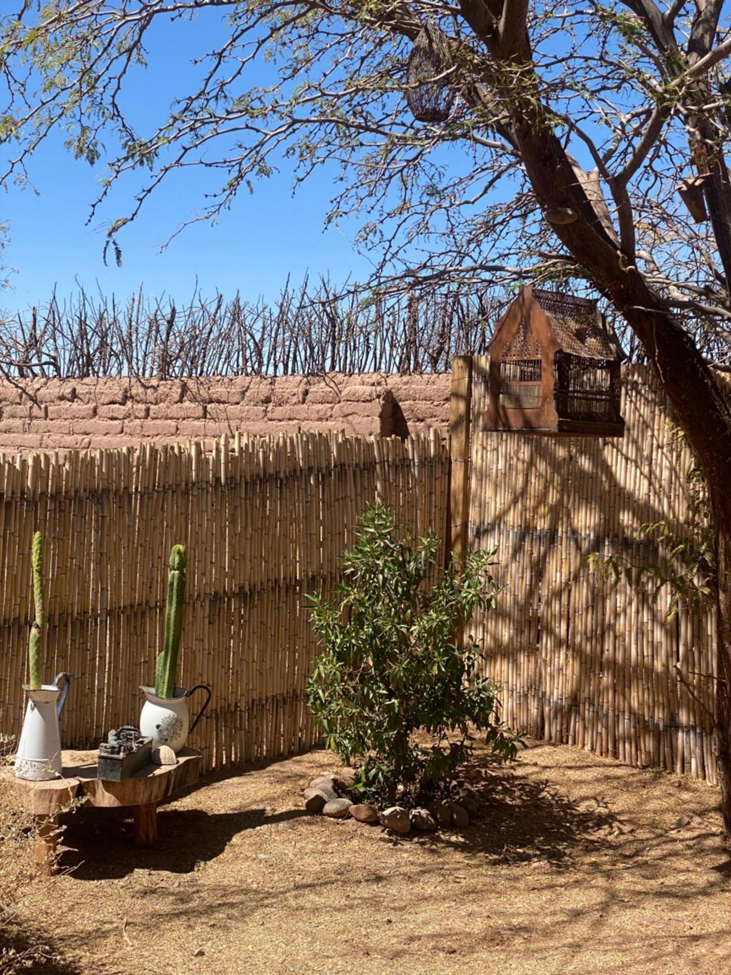 Casa Luna Σαν Πέδρο ντε Ατακάμα Εξωτερικό φωτογραφία