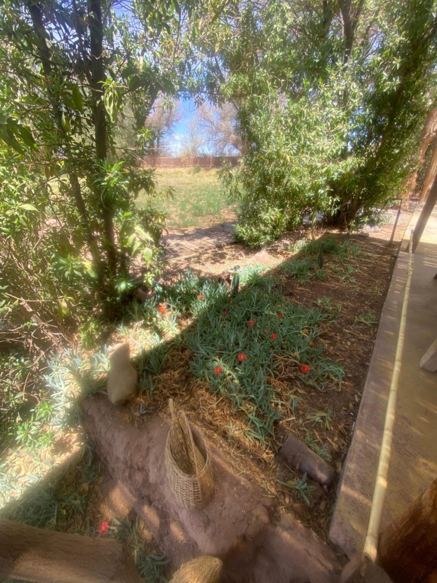 Casa Luna Σαν Πέδρο ντε Ατακάμα Εξωτερικό φωτογραφία