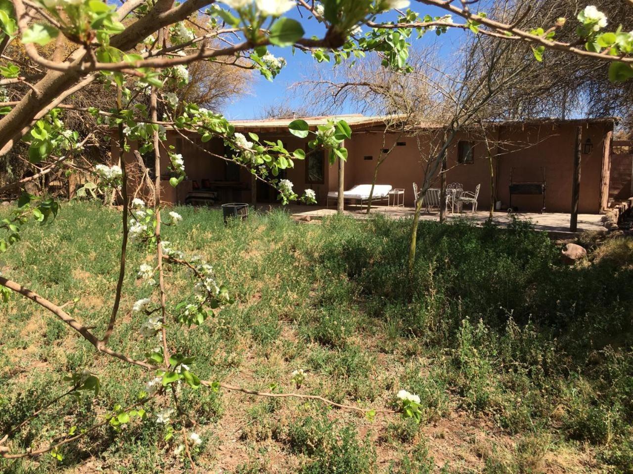 Casa Luna Σαν Πέδρο ντε Ατακάμα Εξωτερικό φωτογραφία